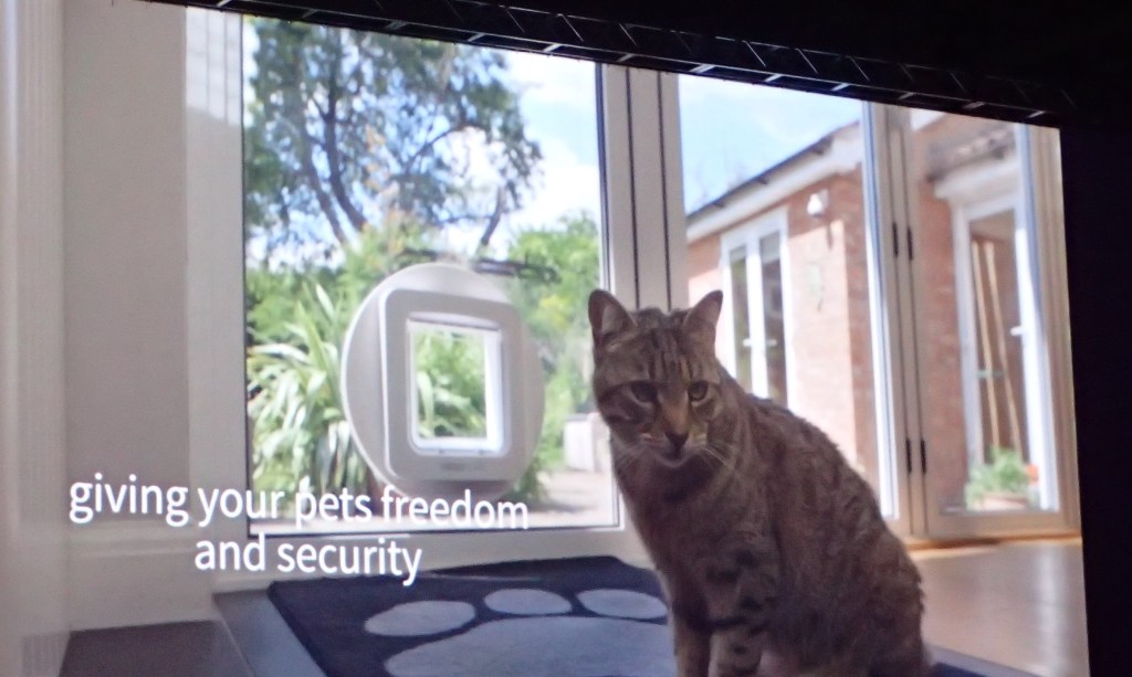 OLYMPUS DIGITAL CAMERA